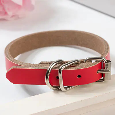 Leather Dog Collar with Chain