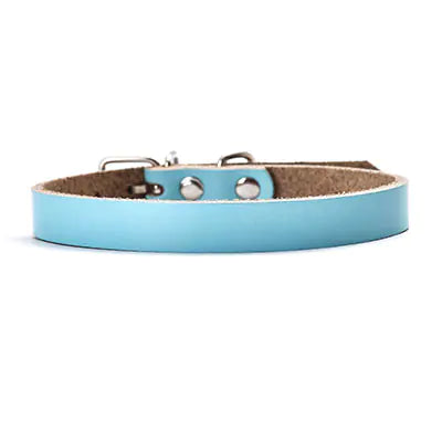 Leather Dog Collar with Chain