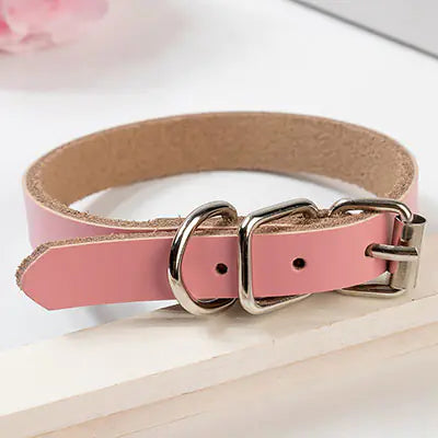 Leather Dog Collar with Chain