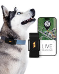 PAJ GPS Tracker for Dogs Collar - Runaway Alarms + Waterproof- fits Any