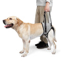 Johnbolin dog lift harness to support senior or injured big dog