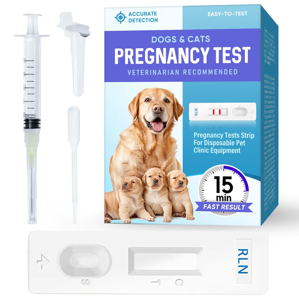 Dog Pregnancy Test Fast and Simple