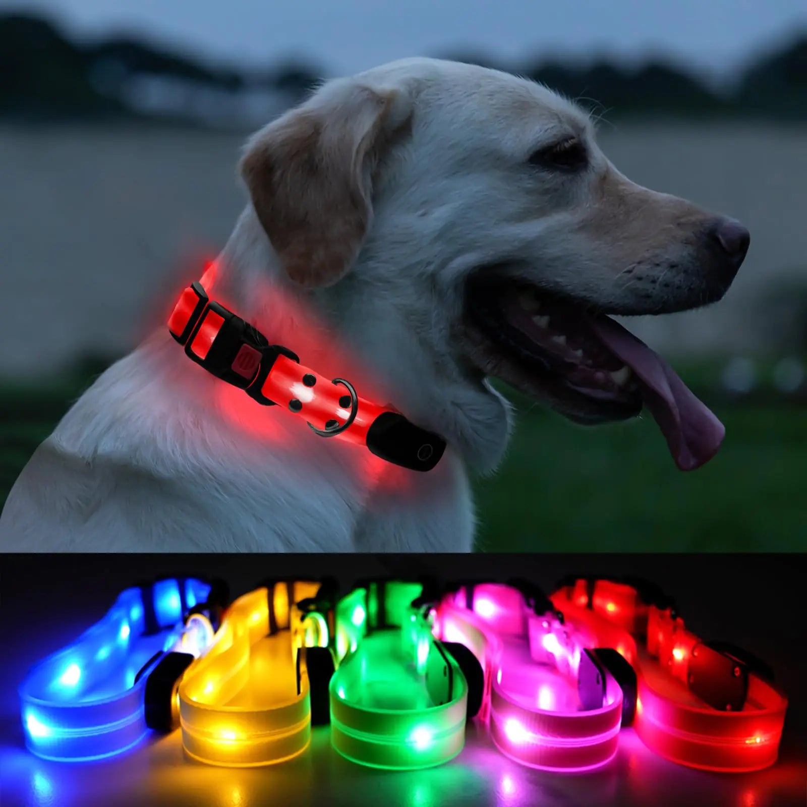 ROUWINNE lED dog collar for night walking (Red)