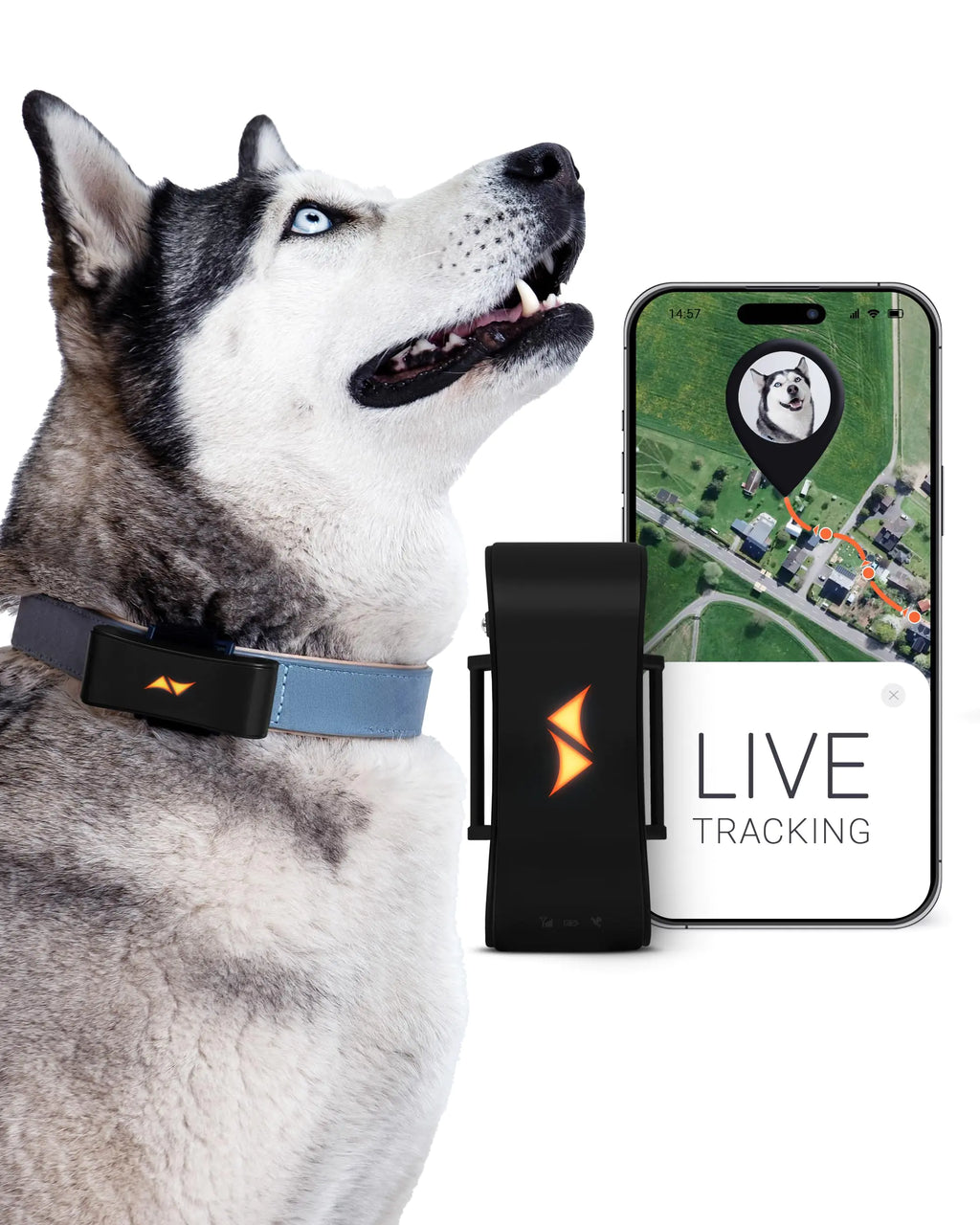 PAJ GPS Tracker for Dogs Collar - Runaway Alarms + Waterproof- fits Any
