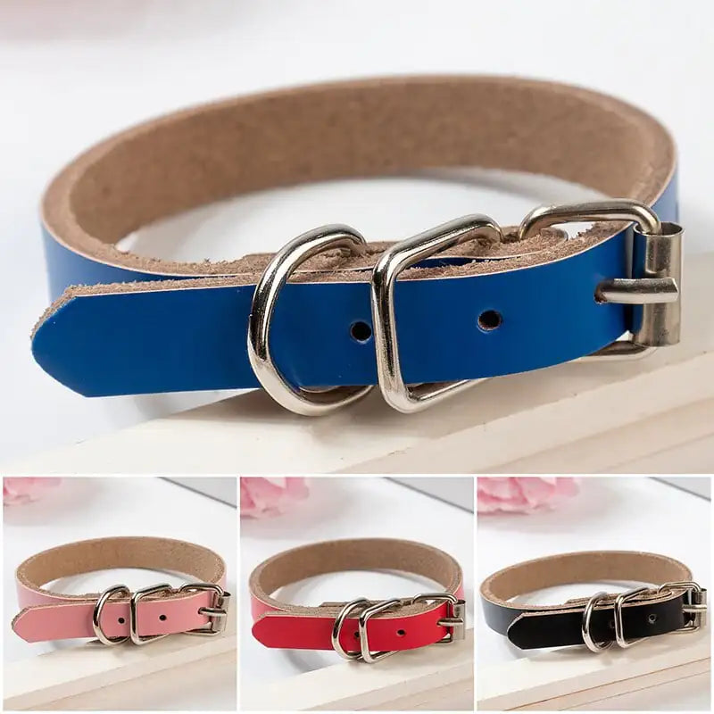 Leather Dog Collar with Chain