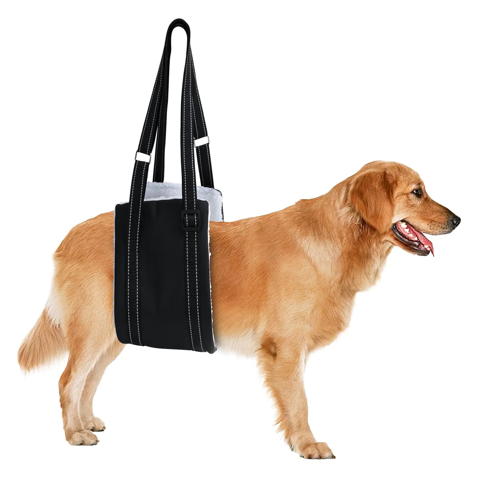 Dog lift harness helps senior big dogs