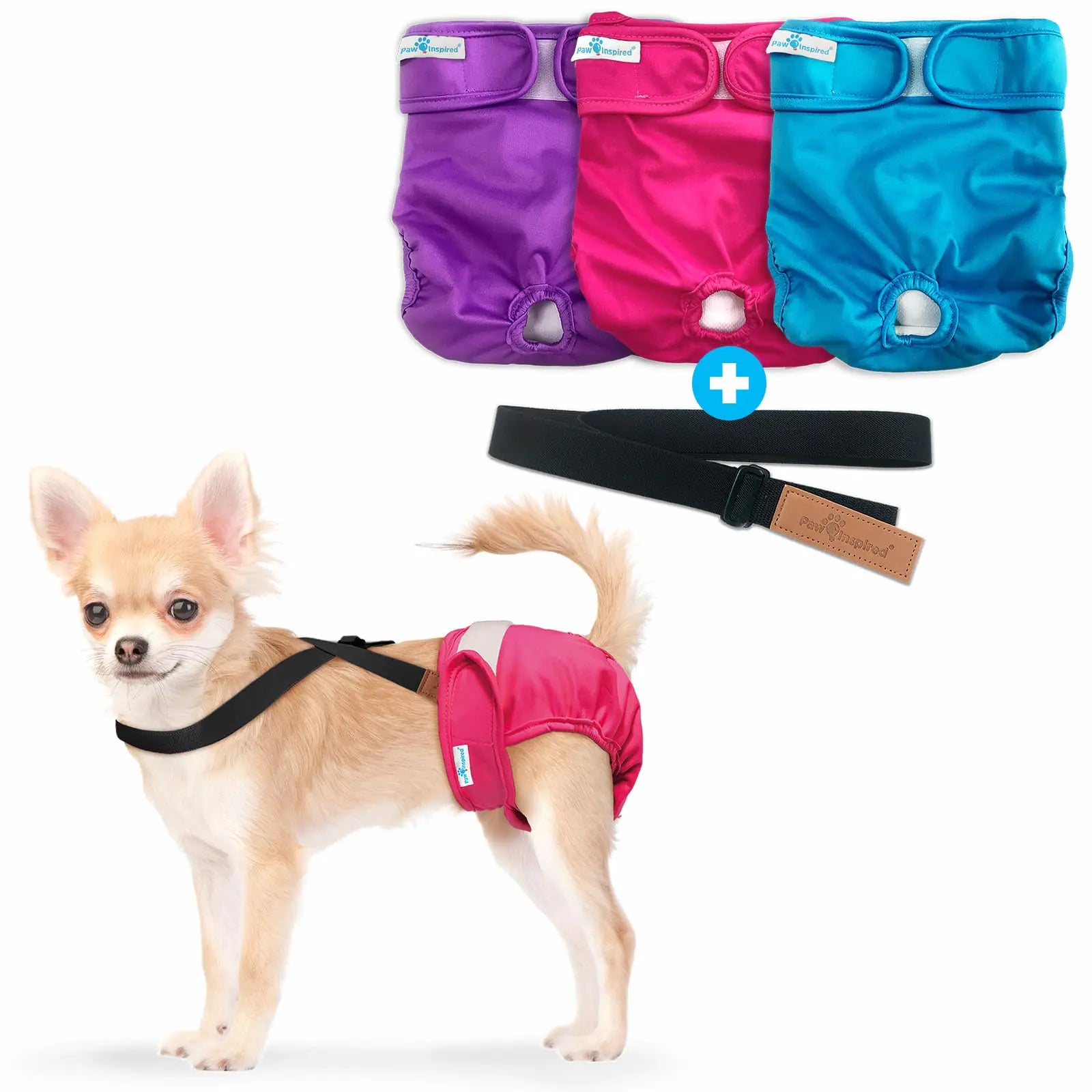 Paw Inspired Reusable Washable Dog Diapers (Pack of 3) in Assorted Colors with White Lining and Dog Diaper Suspenders in Black Combo Pack (X-Small)
