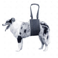 Comfort lift dog harness for senior or Injured/weak rear legs