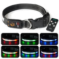 GlowGuide Dog Collar