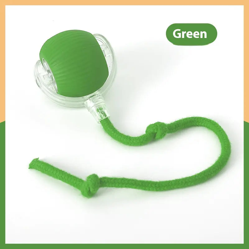 Interactive Cat Ball Toy