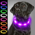 Joytale Light Up Dog Collar rechargeable rainproof LED Dog Collar for Night Walking (Small Medium Large Dogs) Purple
