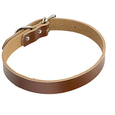 Leather Dog Collar with Chain