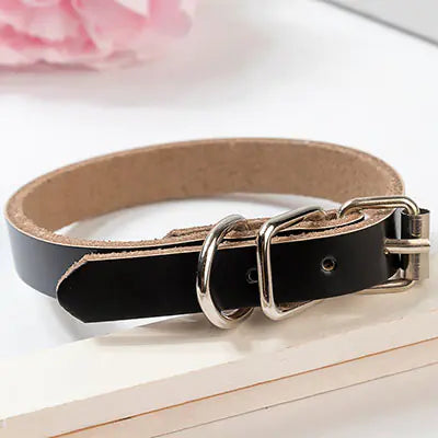 Leather Dog Collar with Chain