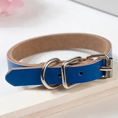 Leather Dog Collar with Chain